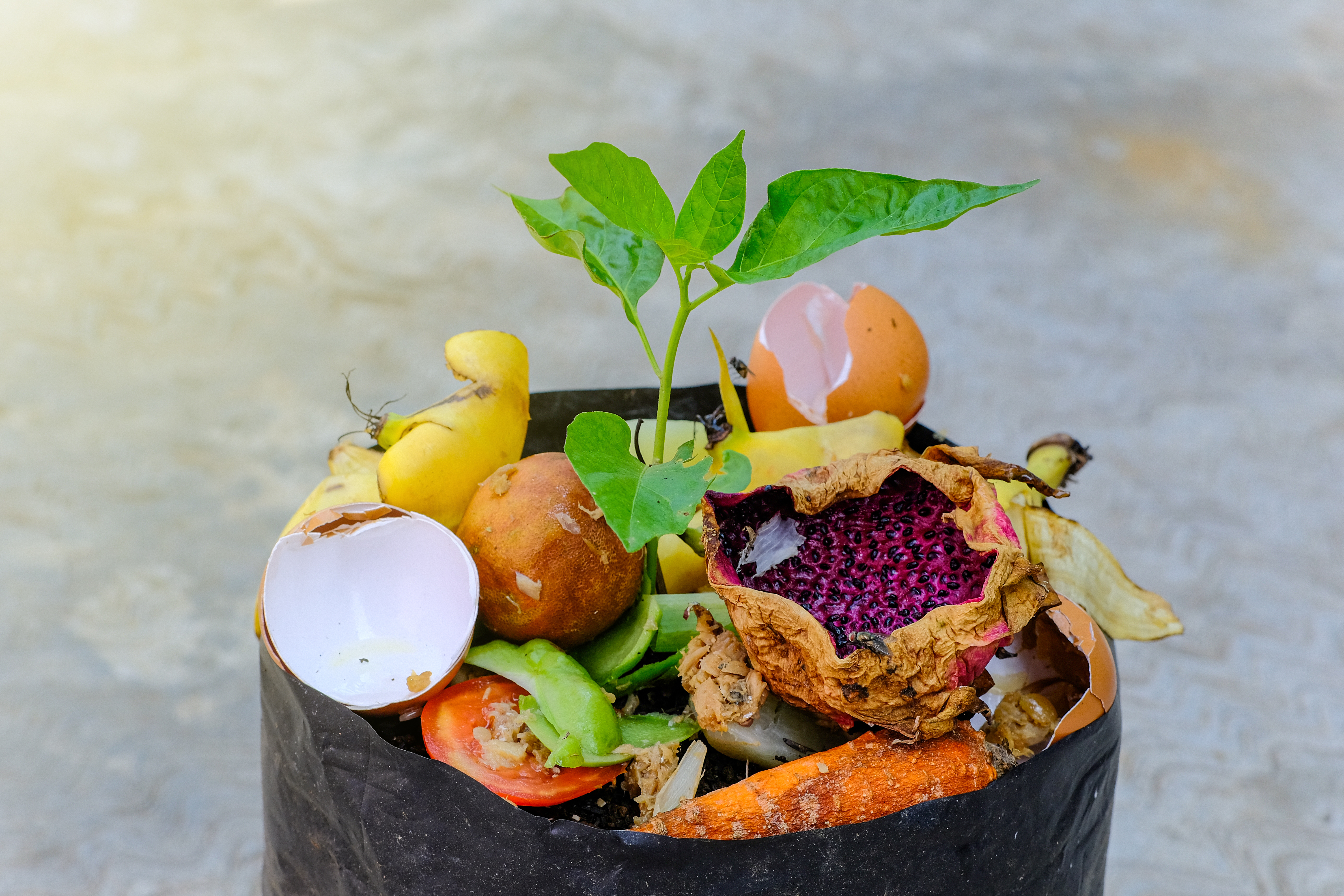 Matilda FoodTech